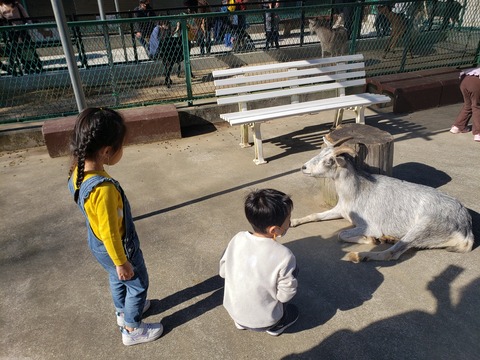 c4c28598-6dfe-48f8-9f97-ef940d4c7805