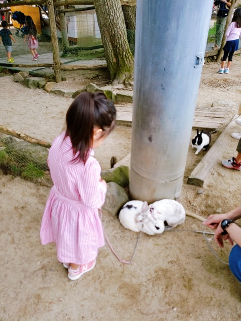 2020-09-20-13-21-12-467