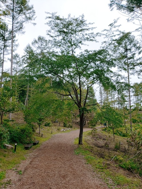 2020-09-02-11-28-32-201