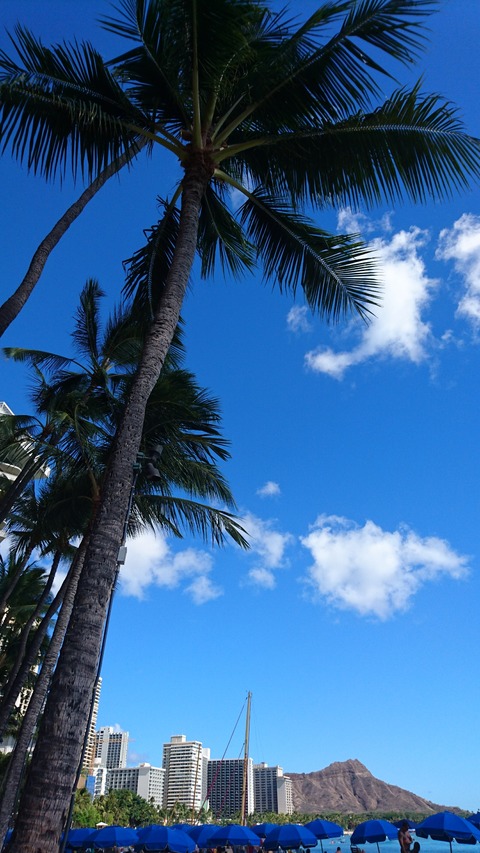 [画像:075101d3-s.jpg]