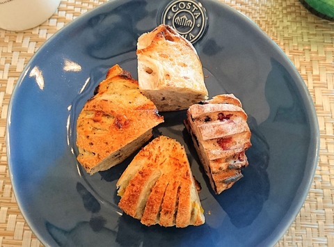 ラフォレエラターブル (1)