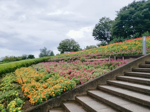 2020-09-03-12-34-57-616