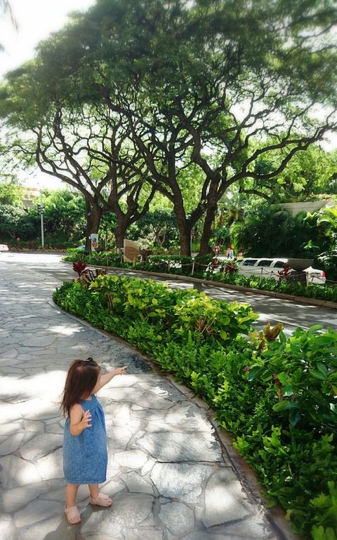 18-09-04-22-10-23-771_deco