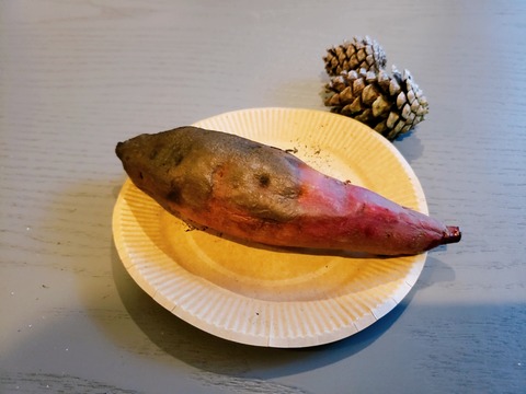 2020-09-20-16-20-43-134