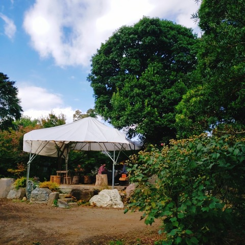 2020-11-09-12-00-31-968