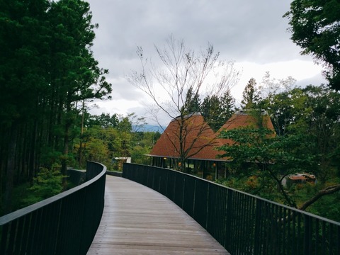 2020-09-19-15-04-37-839