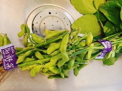 2021-06-17-13-00-16-508