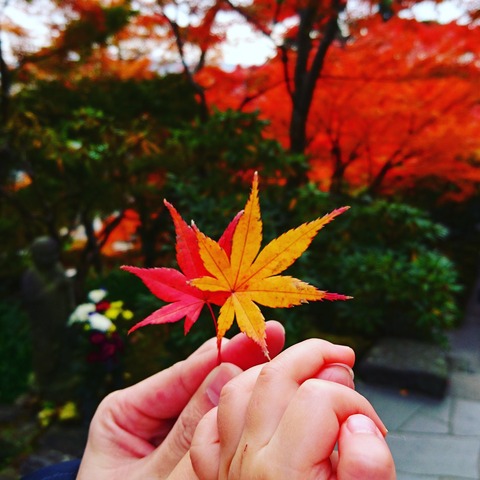 IMG_20171128_195210_844