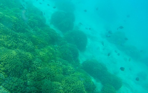 2014-09-12-08-19-43_deco