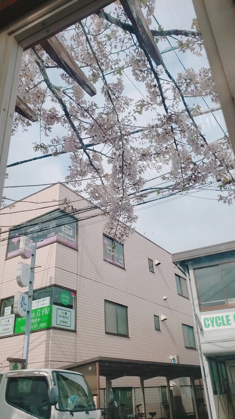 2021-04-01-09-01-33-706