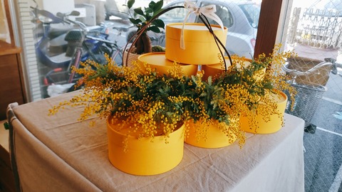 2021-02-21-11-15-35-723