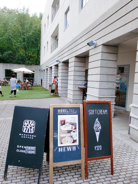 2020-09-01-16-32-31-796