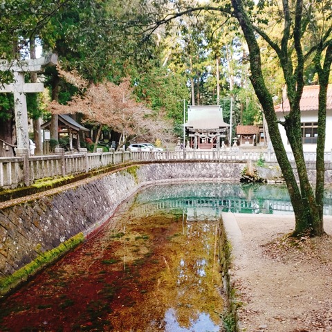 2020-12-11-14-30-15-379