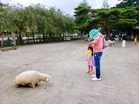 2020-09-20-12-37-18-555_2