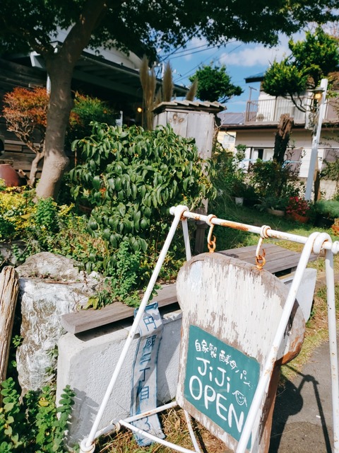 2020-10-26-11-21-56-713