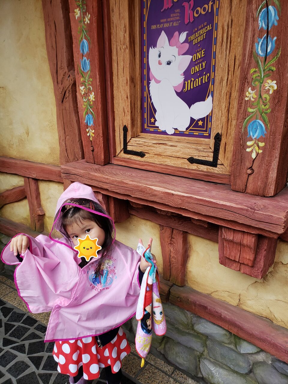 雨の日ディズニーに行って来たぞ 事前準備編 こまてぃの徒然なるままに 3歳差姉妹の子育て日記 雨の日ディズニーに行って来たぞ 事前準備編 こまてぃの徒然なるままに 3歳差姉妹の子育て日記