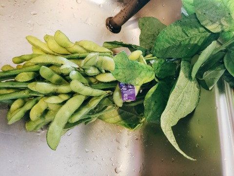 2020-06-14-13-54-21-476