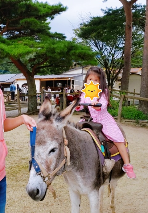 2020-09-20-13-00-51-231_2