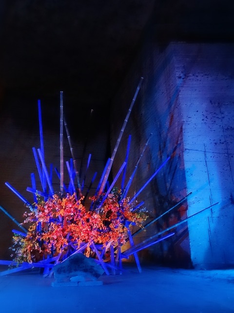 16-05-06-10-36-32-088_deco