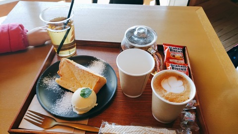 2021-02-28-10-43-42-001