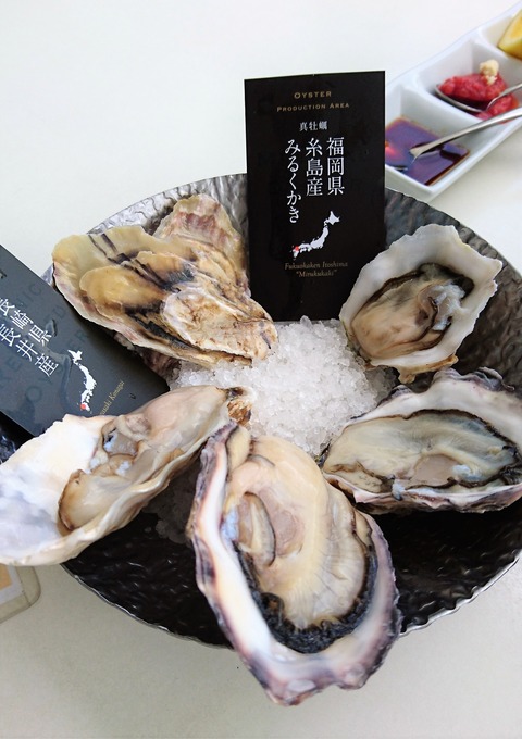 キンカウーカ (3)