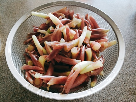 2020-08-14-15-40-30-992