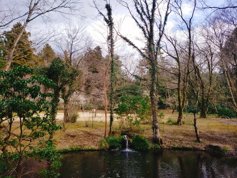 2020-02-28-14-34-32-448