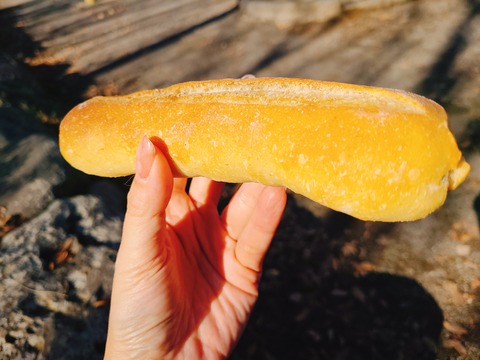 2021-12-11-12-08-31-847