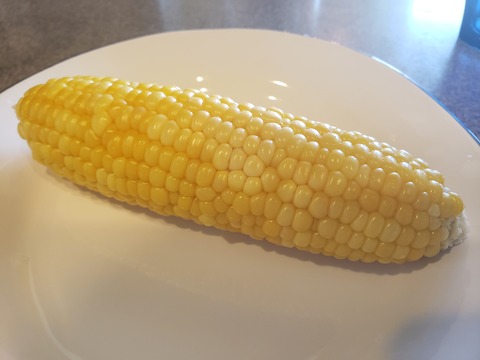 20190809_133115