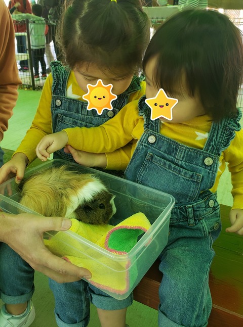 fc78649b-405a-46ac-a131-b8f359fe626c