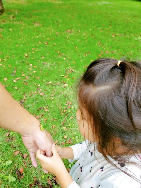 2020-09-21-13-01-52-305