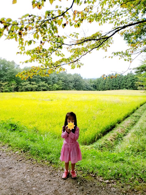 2020-09-20-15-30-05-525_2