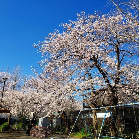 IMG_20200403_002318_305