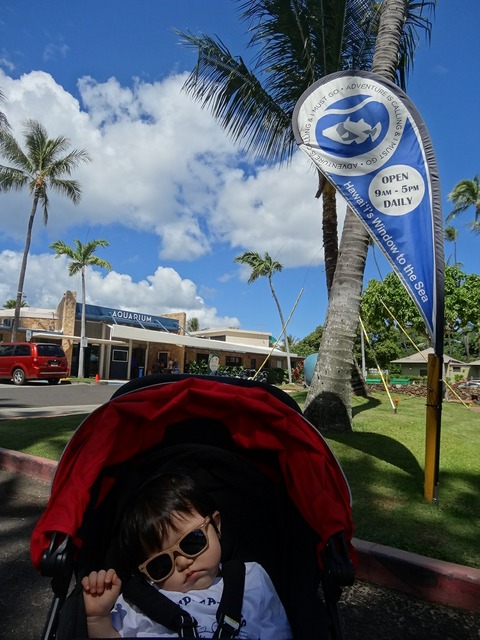 [画像:8ec59a49-s.jpg]