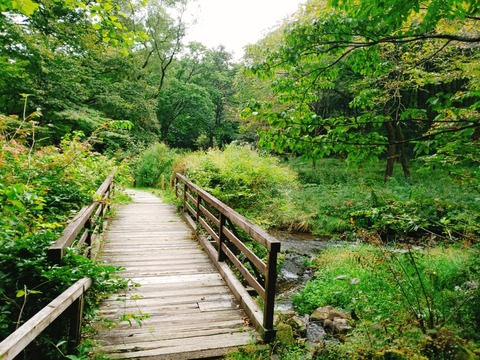 2020-09-20-15-19-29-248