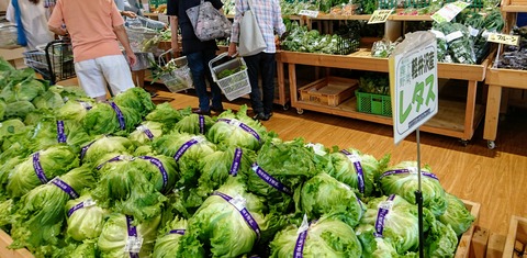 [画像:92259554-s.jpg]