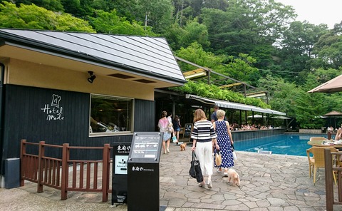 [画像:966d2fad-s.jpg]