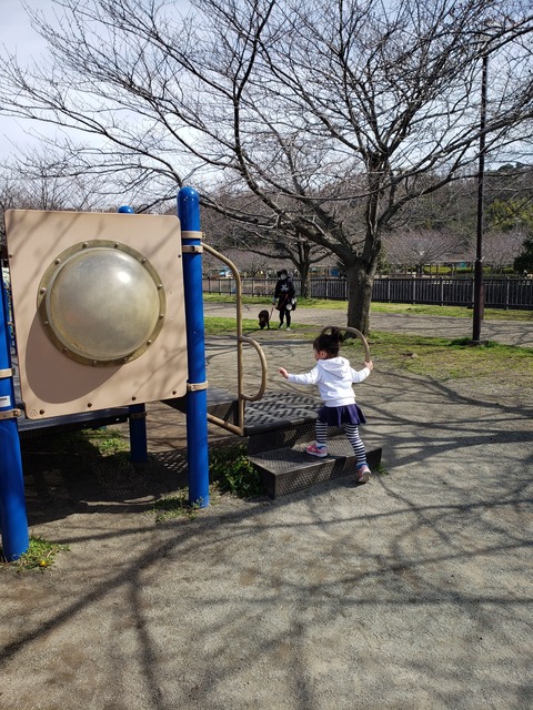 e1ade9a4-a46f-4314-b2ed-dbb9854de80e (1)