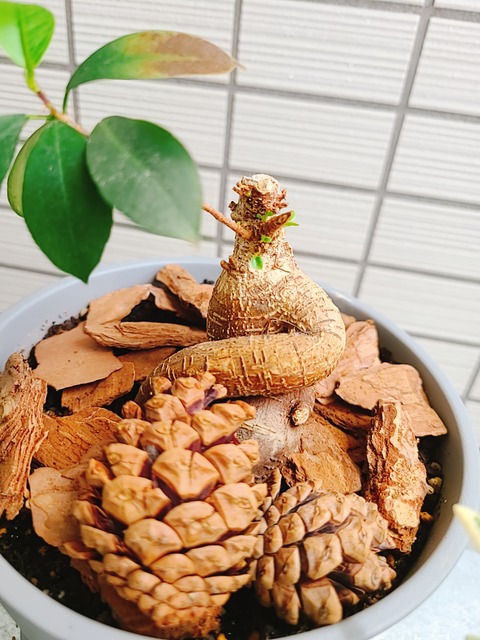 2021-06-17-13-29-52-057