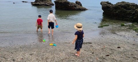 mitenee88d900f-4dfb-4291-962f-d6946e60d316