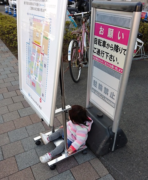 c411e8cd-5c29-4c53-aae8-d2ea2f8c3f16