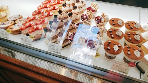 2021-02-21-11-10-33-446