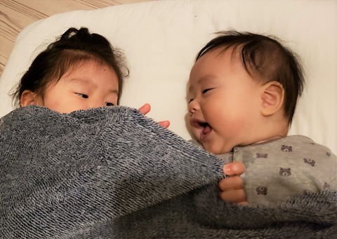 d6abe63e-c574-4fc4-a1c8-ed2082460962