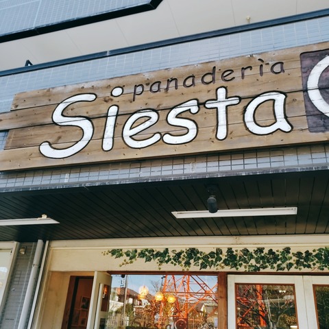 2020-11-22-10-39-51-019