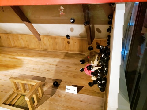 2020-09-20-10-00-06-888