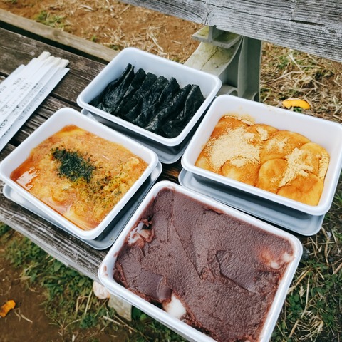 2020-11-15-14-02-58-387