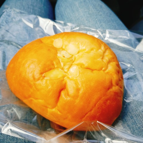 2020-12-12-11-34-26-733