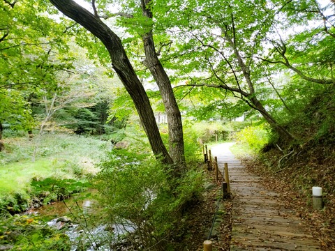 2020-09-20-15-20-28-954