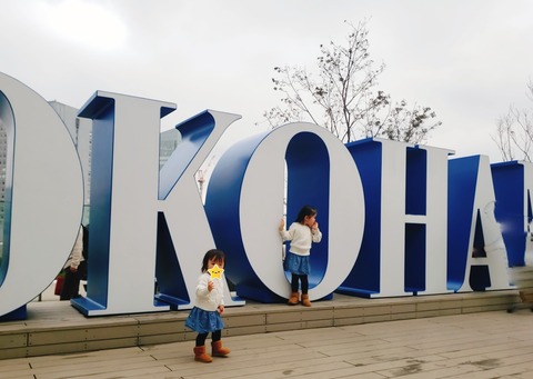 2020-11-03-12-38-54-935