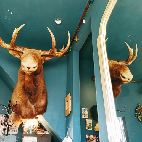 2021-02-11-12-50-06-252